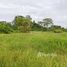  Terrain for sale in Heredia, Heredia, Heredia