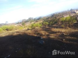  Land for sale in Francisco Morazan, Santa Ana, Francisco Morazan