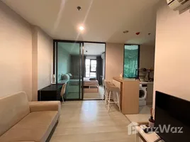 1 Bedroom Condo for rent at Life Pinklao, Bang Yi Khan