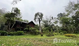 N/A Grundstück zu verkaufen in Chiang Dao, Chiang Mai 