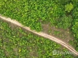  Land for sale in Mai Khao, Thalang, Mai Khao