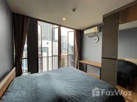 คอนโด 1 ห้องนอน ให้เช่า ในโครงการ ฮาสุ เฮ้าส์, พระโขนงเหนือ