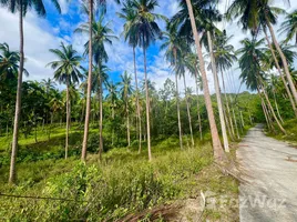  Land for sale in Taling Ngam, Surat Thani, Taling Ngam, Koh Samui