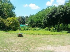  Land for sale in Mueang Lampang, Lampang, Phichai, Mueang Lampang