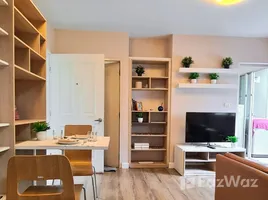 คอนโด 1 ห้องนอน ให้เช่า ในโครงการ มาย คอนโด สุขุมวิท 81, บางจาก, พระโขนง