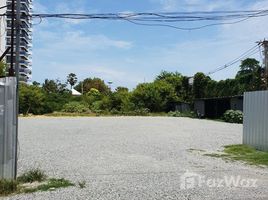 N/A Land for sale in Nong Prue, Pattaya Sea View Land For SALE IN Pratumnak Hill 
