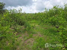 ขายที่ดิน ใน วังนกแอ่น, พิษณุโลก, วังนกแอ่น, วังทอง