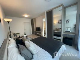 คอนโด สตูดิโอ ให้เช่า ในโครงการ ยูนิโอ สุขุมวิท 72 (เฟส 2), สำโรงเหนือ, เมืองสมุทรปราการ, สมุทรปราการ