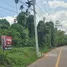  Grundstück zu verkaufen in Makham Tia, Surat Thani, Makham Tia, Mueang Surat Thani, Surat Thani, Thailand