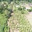  Terreno (Parcela) en venta en Costa Rica, Guacimo, Limón, Costa Rica