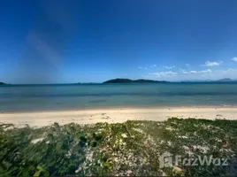 ขายที่ดิน ใน ตลิ่งงาม, สุราษฎร์ธานี, ตลิ่งงาม