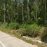  Terrain for sale in Phanat Nikhom, Chon Buri, Na Roek, Phanat Nikhom