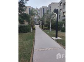 2 Bedroom Apartment for rent at The Village, South Investors Area