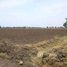  Land for sale in Madhya Pradesh, Goharganj, Raisen, Madhya Pradesh