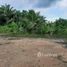  Земельный участок for sale in Перу, Cajaruro, Utcubamba, Amazonas, Перу