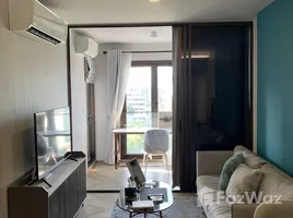 1 Bedroom Condo for rent at Chapter Thonglor 25, Khlong Tan Nuea, Watthana