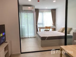 1 Bedroom Condo for rent at Kave Seed Kaset, Sena Nikhom, Chatuchak, Bangkok