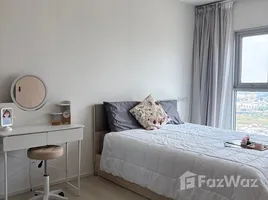 คอนโด 1 ห้องนอน ให้เช่า ในโครงการ แอสปาย สุขุมวิท 48, พระโขนง, คลองเตย