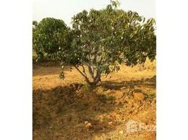  Land for sale in Gujarat, n.a. ( 913), Kachchh, Gujarat