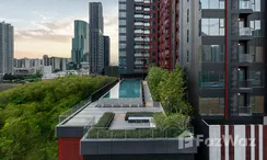 图片 1 of the Communal Pool at Life Asoke Hype