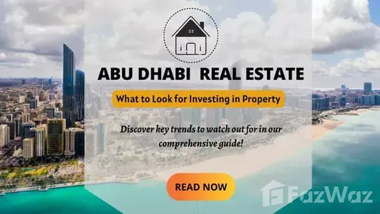 Abu Dhabi Real Estate What to Look for Investing in Property