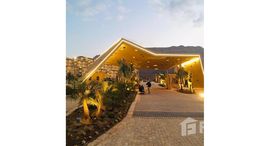Available Units at IL Monte Galala