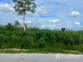 ขายที่ดิน ใน บางละมุง, พัทยา, บางละมุง