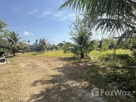 พื้นที่ค้าปลีก ให้เช่า ในทำเล ฉลอง, ภูเก็ต, ฉลอง