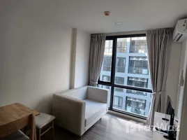 อพาร์ทเม้นท์ 1 ห้องนอน ให้เช่า ในโครงการ บีท สุขุมวิท 93, บางจาก