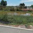  Land for sale in Dong Lakhon, Nakhon Nayok, Dong Lakhon, Mueang Nakhon Nayok
