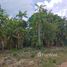  Land for sale in Presidente Figueiredo, Amazonas, Balbina, Presidente Figueiredo