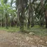  Land for sale in Phangnga, Khlong Khian, Takua Thung, Phangnga