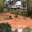  Land for sale in Choeng Thale, Phuket, Choeng Thale