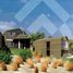 2 Bedroom Villa for sale at Wadi Jebal, Sahl Hasheesh