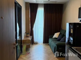 คอนโด 1 ห้องนอน ให้เช่า ในโครงการ เดอะ แคปปิตอล เอกมัย - ทองหล่อ, บางกะปิ