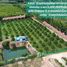  Земельный участок for sale in Ban Laeng, Районг, Ban Laeng