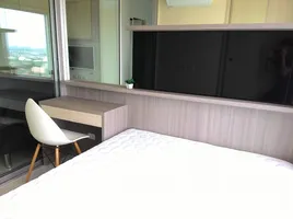 1 Schlafzimmer Appartement zu vermieten im Aspire Rattanatibet 2, Bang Kraso, Mueang Nonthaburi, Nonthaburi, Thailand