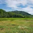  Terreno (Parcela) en venta en Sakhu, Thalang, Sakhu