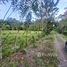  Land for sale in Costa Rica, Guacimo, Limon, Costa Rica