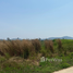  Terrain for sale in Pran Buri, Prachuap Khiri Khan, Pran Buri, Pran Buri