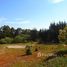  Land for sale at Puchuncavi, Quintero