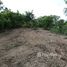 ขายที่ดิน ใน หนองหาน, อุดรธานี, หนองหาน, หนองหาน, อุดรธานี