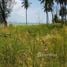  Land for sale in Thailand, Ko Mak, Ko Kut, Trat, Thailand