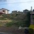  Terrain for sale in Fernando De Noronha, Rio Grande do Norte, Fernando De Noronha, Fernando De Noronha