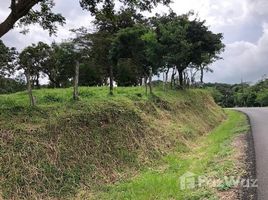 N/A Land for sale in , Guanacaste Tejona, Guanacaste, Address available on request