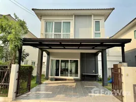 บ้านเดี่ยว 3 ห้องนอน ให้เช่า ในโครงการ ศุภาลัย เบลล่า ดอนแก้ว-เเม่ริม, แม่สา