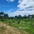Terrain à vendre à San Felipe De Puerto Plata, Puerto Plata, San Felipe De Puerto Plata