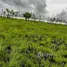  Terreno (Parcela) en venta en Pandawai, East Nusa Tenggara, Pandawai