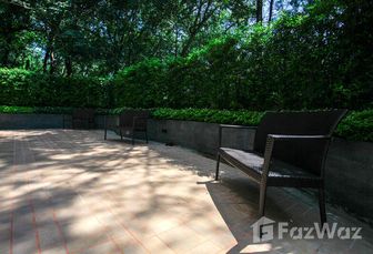 รูปถ่าย 3 of the Communal Garden Area at เดอะ ยูนิตี้ ป่าตอง