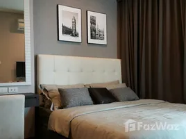 อพาร์ทเม้นท์ 1 ห้องนอน ให้เช่า ในโครงการ ไอวี่ ทองหล่อ, คลองตันเหนือ